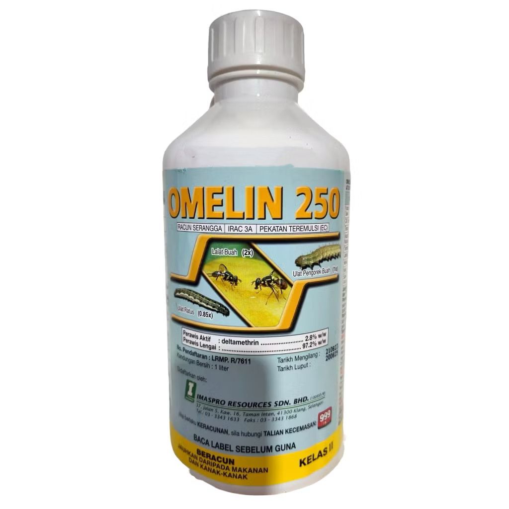 Product 1